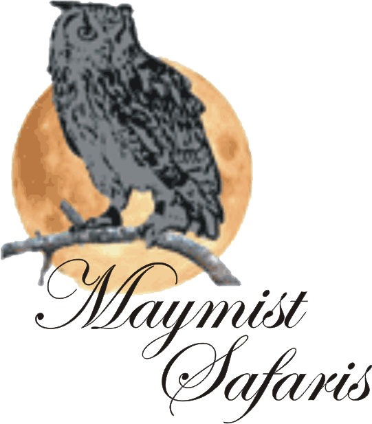 Maymist Safaris